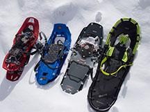 Snow Shoe Rental